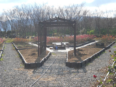 バラ園